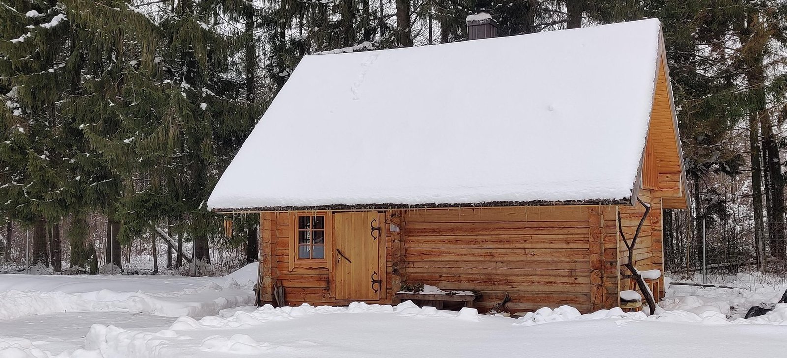 Apsnigta pirtis misko pakrastyje
